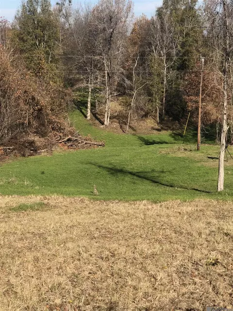 53 Cliffs Plantation Rd, Natchez, MS 39120 photo 24
