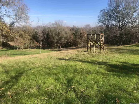 53 Cliffs Plantation Rd, Natchez, MS 39120 photo 23