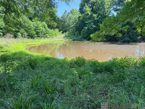 53 Cliffs Plantation Rd, Natchez, MS 39120 photo 9