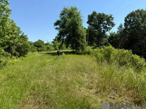 53 Cliffs Plantation Rd, Natchez, MS 39120