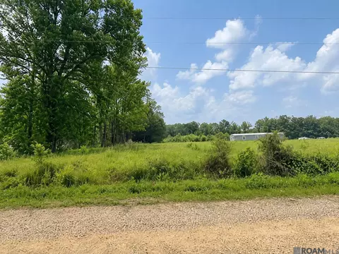 1101 Leonard Chapel Rd, Independence, LA 70422