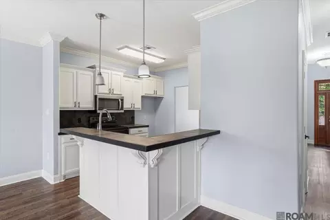 Other - 20334 De Chene Dr, Walker, LA 70785 photo 3 of 4