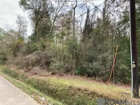 lot31 Lucien St, Denham Springs, LA 70726