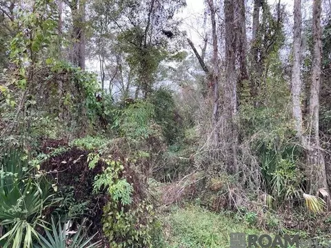 lot32 Lucien St, Denham Springs, LA 70726