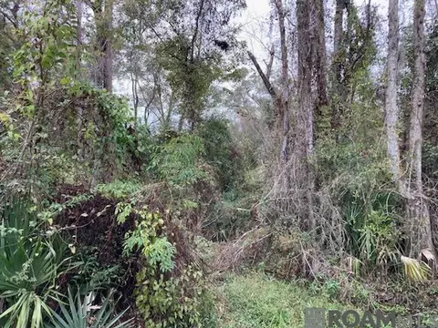 lot13 Lucien St, Denham Springs, LA 70726