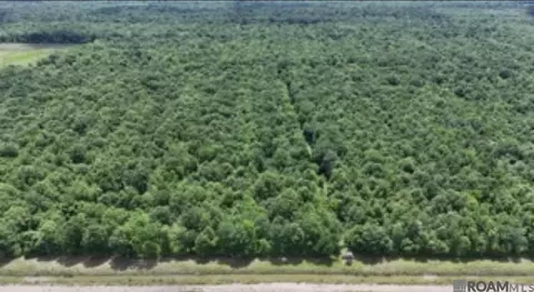 Greenwood Plantation Rd, Thibodaux, LA 70301