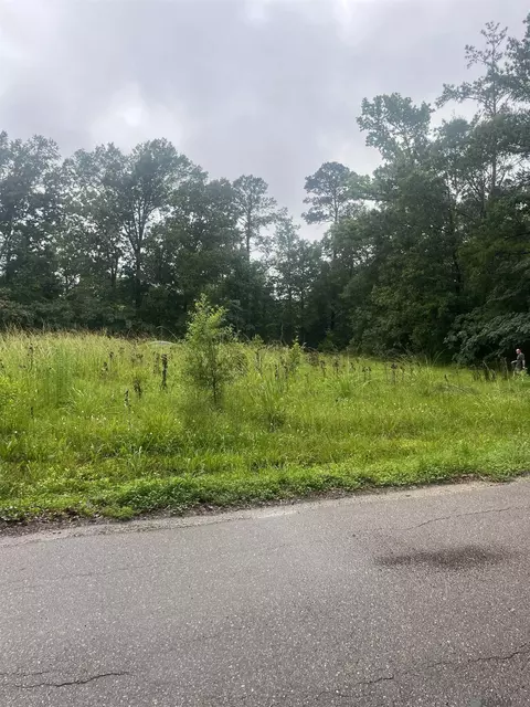 19925 Perrin Ferry Rd, Springfield, LA 70462