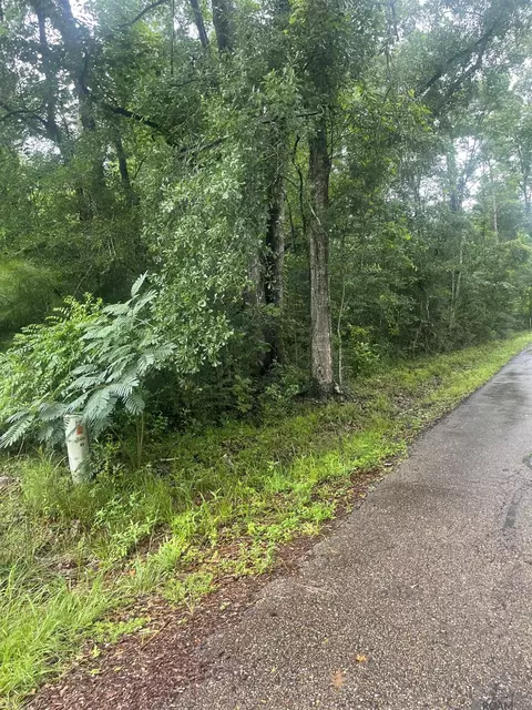 19925 Perrin Ferry Rd, Springfield, LA 70462 photo 4
