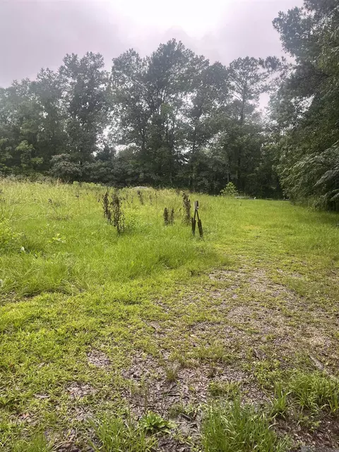 19925 Perrin Ferry Rd, Springfield, LA 70462 photo 2