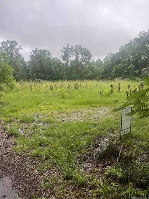 19925 Perrin Ferry Rd, Springfield, LA 70462 photo 3