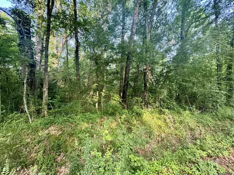 lot F Hazeloak Dr, Baker, LA 70714