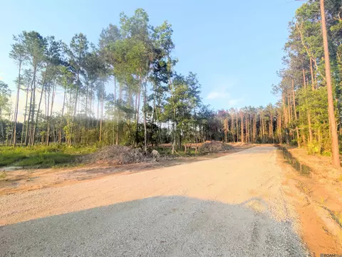 Tract 4 Critter Cove Ln, Livingston, LA 70754