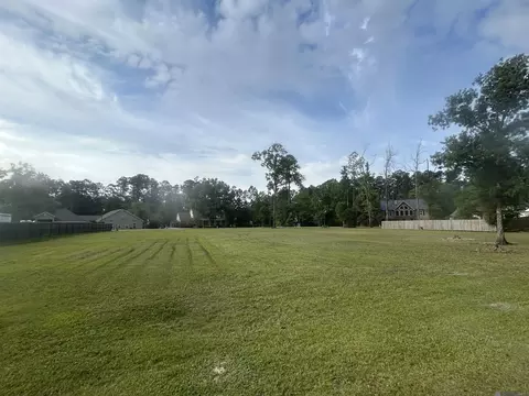 River Point Dr, Springfield, LA 70462 photo 2