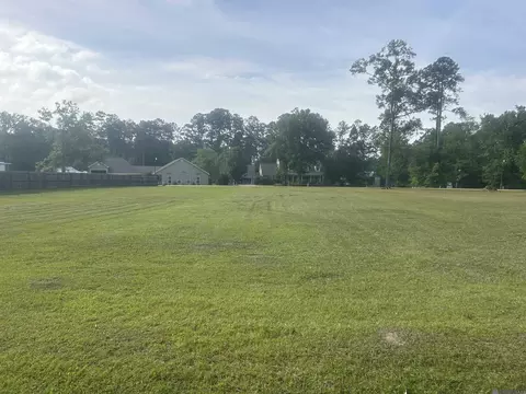 River Point Dr, Springfield, LA 70462 photo 5