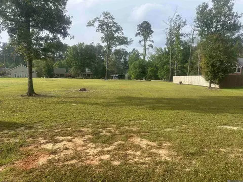 River Point Dr, Springfield, LA 70462 photo 4