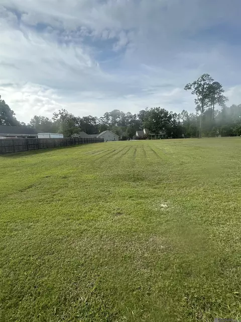 River Point Dr, Springfield, LA 70462 photo 6