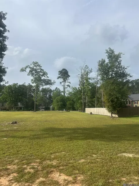 River Point Dr, Springfield, LA 70462 photo 7