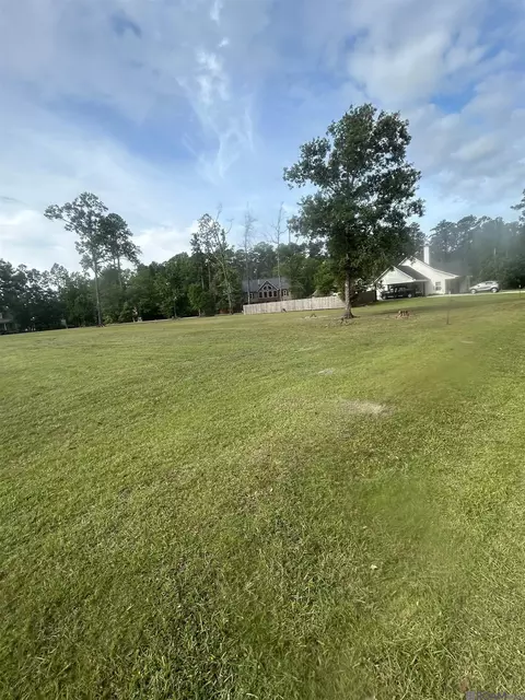 River Point Dr, Springfield, LA 70462 photo 3