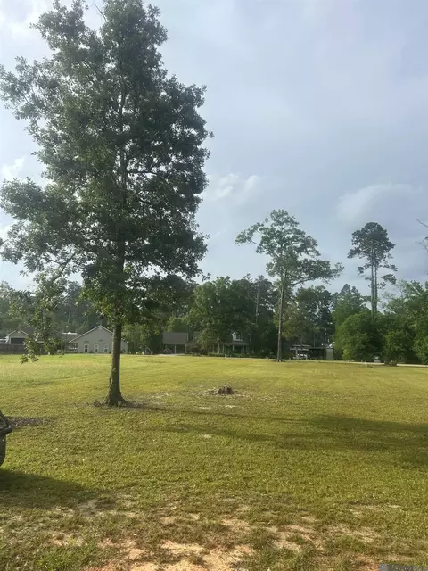 River Pines Dr, Springfield, LA 70462
