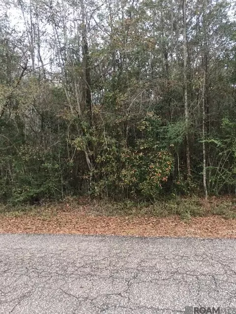 tbd Eunice St, Bogalusa, LA 70427