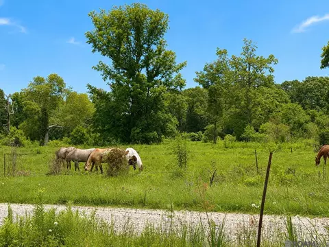Other - 33755 Perkins Crossing Rd, Walker, LA 70785 photo 2 of 7