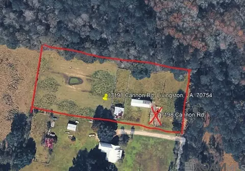 17198 Cannon Rd, Livingston, LA 70754