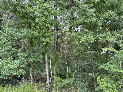 tbd Duff Rd, Walker, LA 70785 photo 2