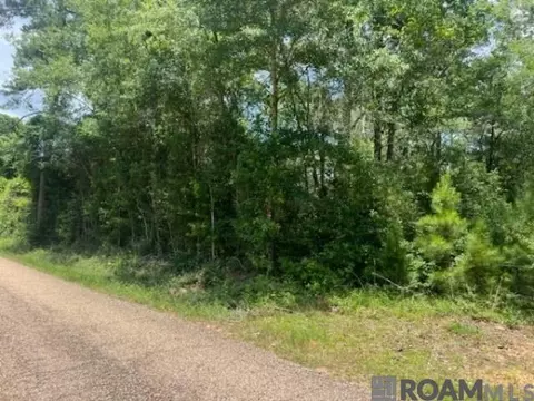 20050 Sylvest Rd, Franklinton, LA 70438