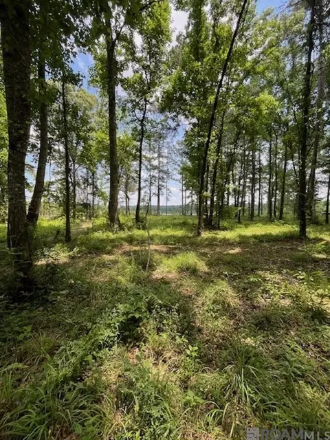 J.h. Jenkins Ln, Denham Springs, LA 70706
