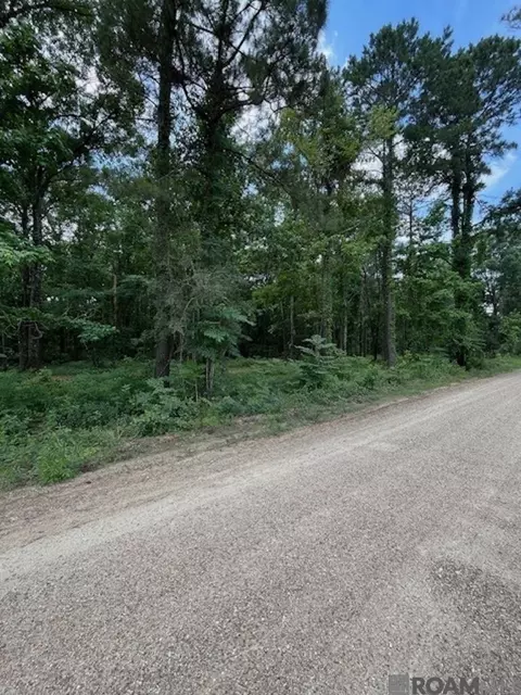 J.h. Jenkins Ln, Denham Springs, LA 70706