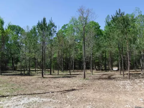 X7a La Hwy 955, Ethel, LA 70730