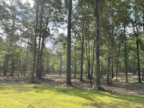 8105 Hepzibah Rd, Clinton, LA 70722
