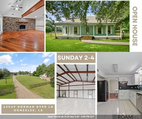 43029 Norman Dyer Ln, Gonzales, LA 70737