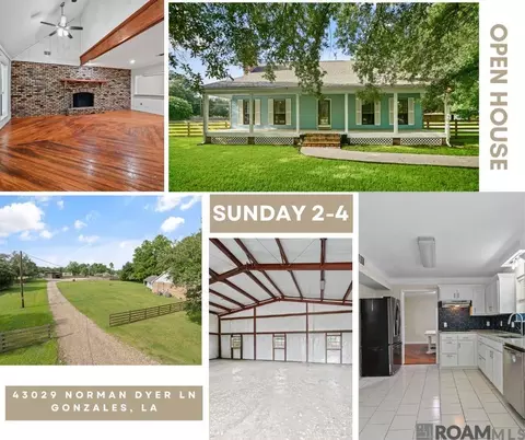 43029 Norman Dyer Ln, Gonzales, LA 70737