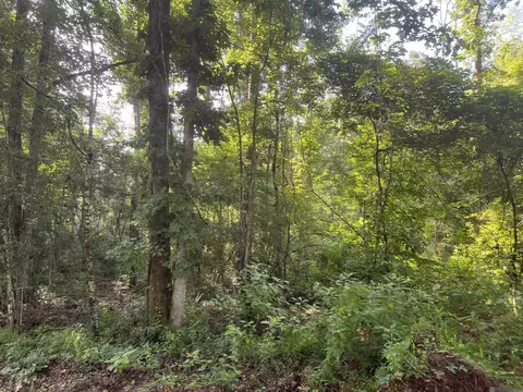 lot3 Hepzibah Rd, Clinton, LA 70722