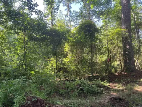 lot2 Hepzibah Rd, Clinton, LA 70722