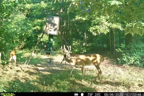 655 Oil Well Rd, Lorman, MS 39096