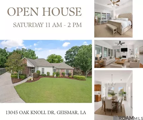 13045 Oak Knoll Dr, Geismar, LA 70734