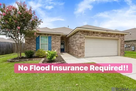 42258 Devall Rd, Prairieville, LA 70769