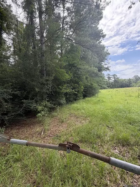 tbd 745 Acres Belgian Rd, Holden, LA 70744