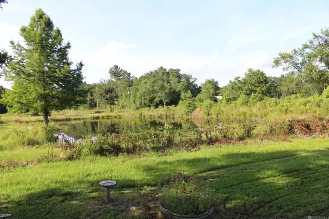 13505 Springfield Rd, Walker, LA 70785