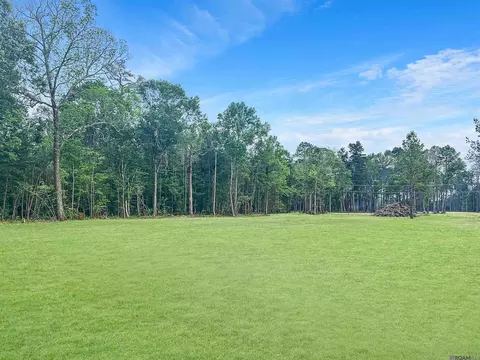 35085 Coy Holden Rd, Walker, LA 70785