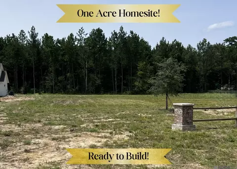 19103 La Hwy 444, Livingston, LA 70754