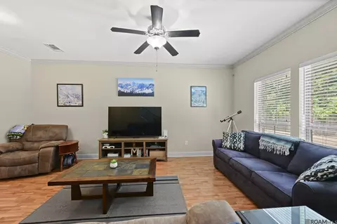 Living - 20210 De Chene Dr, Walker, LA 70785 photo 1 of 1