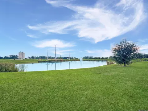 View/Area - 39551 Hernando De Soto Dr, Darrow, LA 70725 photo 1 of 1