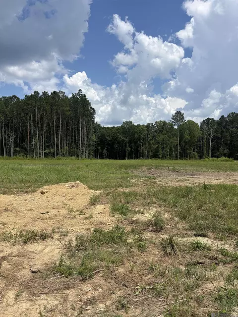 34766 Clinton Allen Rd, Denham Springs, LA 70706
