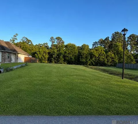 17832 H S Brignac Dr, French Settlement, LA 70733