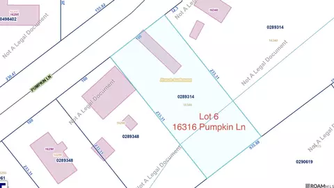 16316 Pumpkin, French Settlement, LA 70733