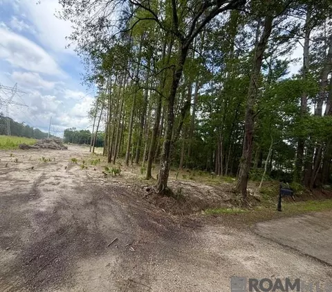 11402 Maxwell Dr, Walker, LA 70785 photo 3