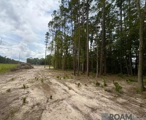 11402 Maxwell Dr, Walker, LA 70785 photo 5